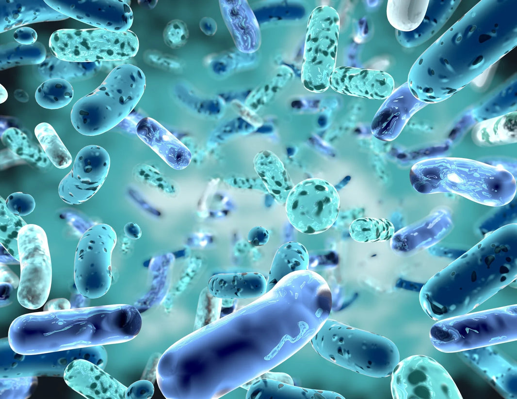 Prebiotics and Probiotics: Potential Key to Overall Health