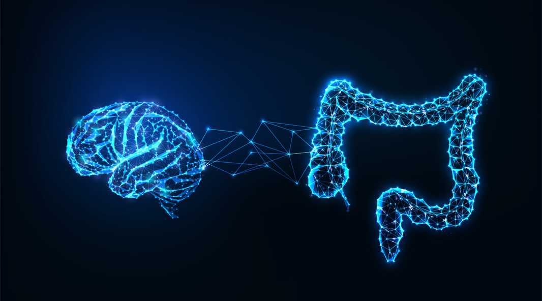 Brain and Gut Connection