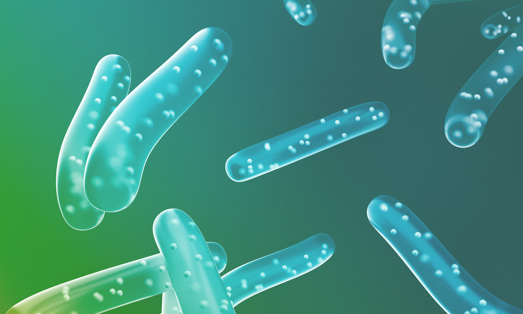 Day 10 - Prebiotics