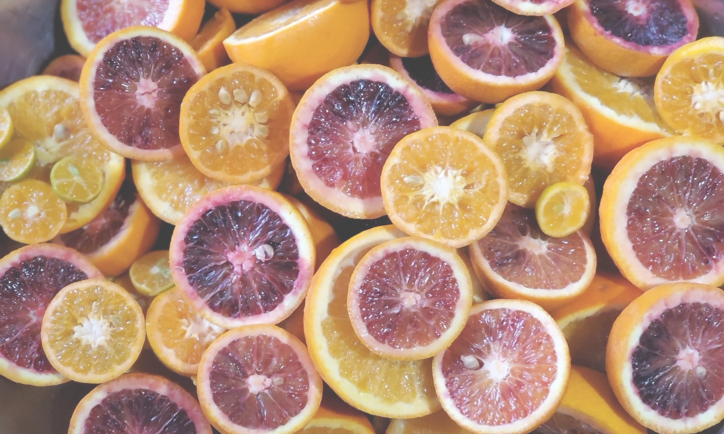 Day 5 - Vitamin C