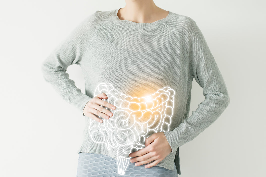 Day 7 - You Have a Second Brain in Your Gut