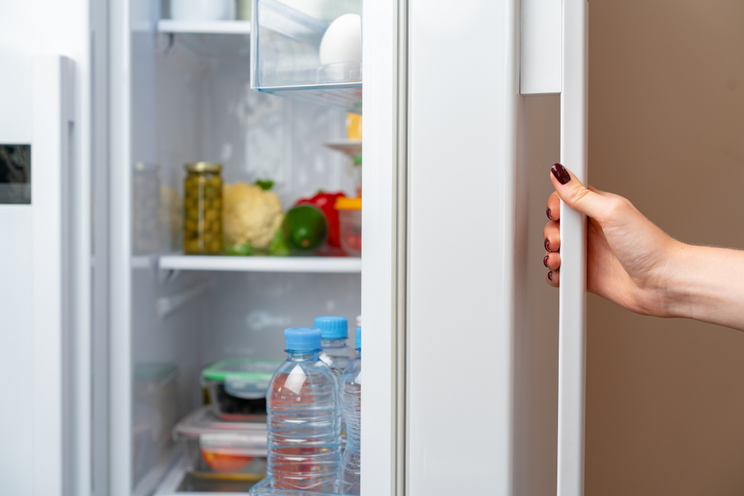 Freezing Meal Delivery Trays