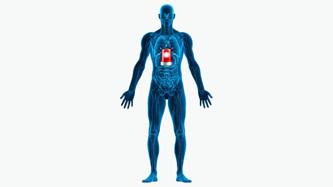 Stress, Cortisol, and Your Gut: The Hidden Connection That's Changing Everything