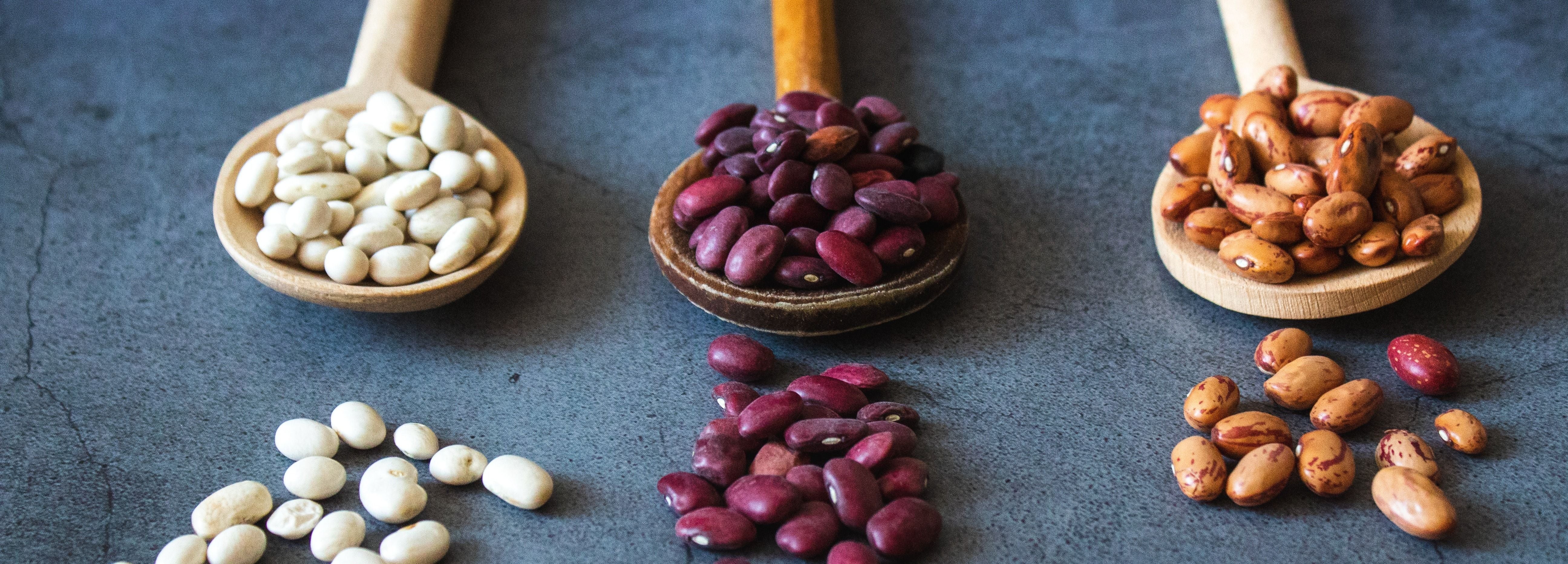 Day 17 - Food Focus: Beans