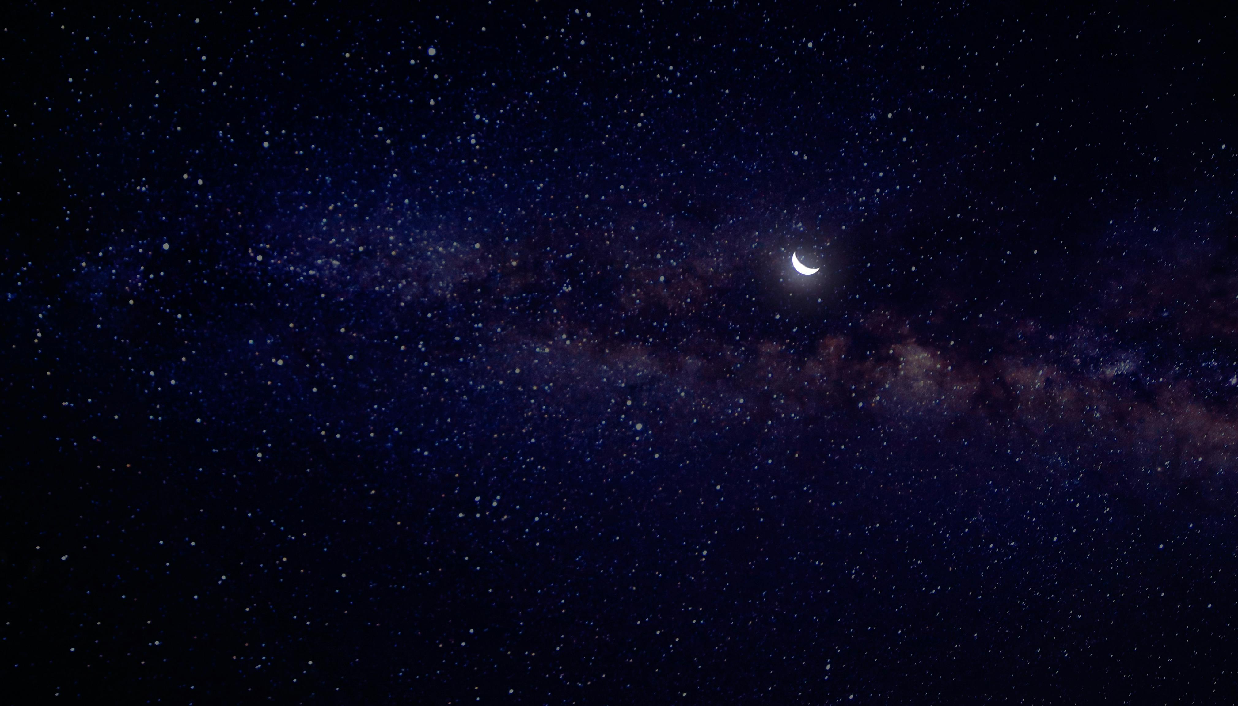 Your Body's Night Shift: The Science of Sleep as Active Recovery