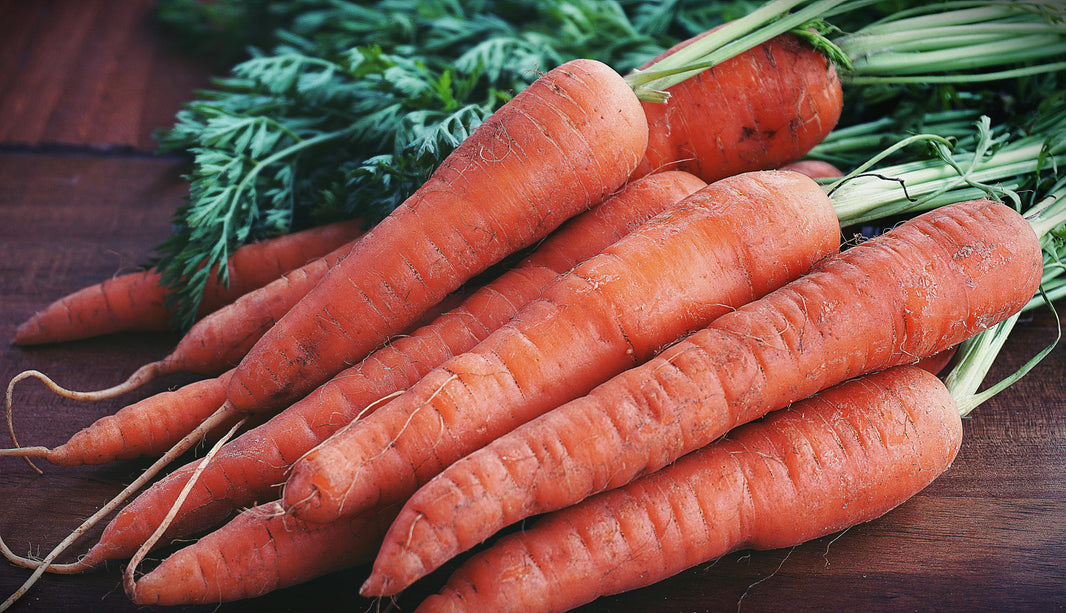 Day 5 - Food Focus: Carrots