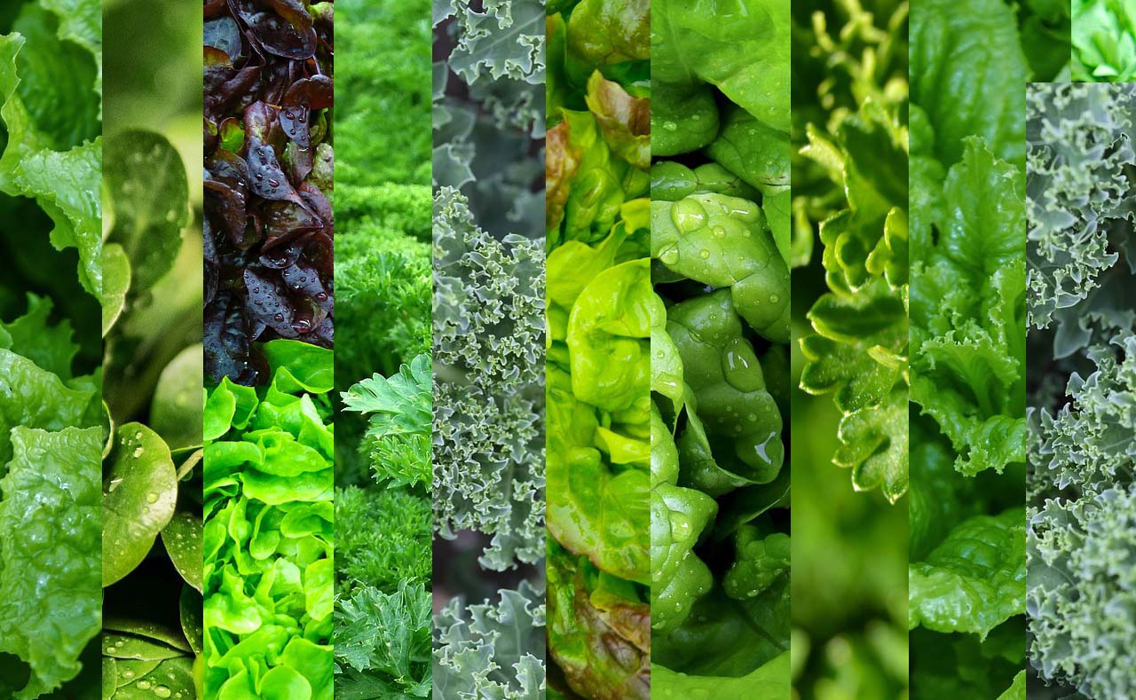 The Leafy Green Hall of Fame
